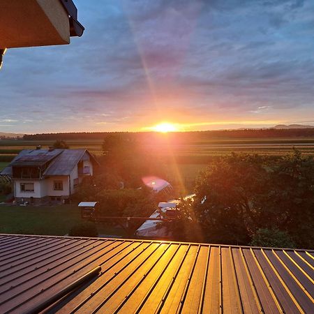 Guesthouse Živko Dobrovce Eksteriør billede