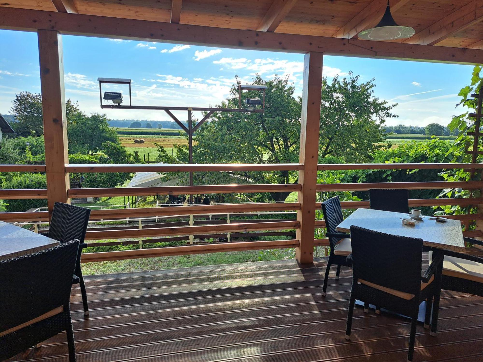 Guesthouse Živko Dobrovce Eksteriør billede