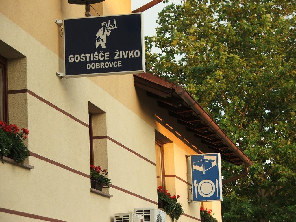 Guesthouse Živko Dobrovce Eksteriør billede
